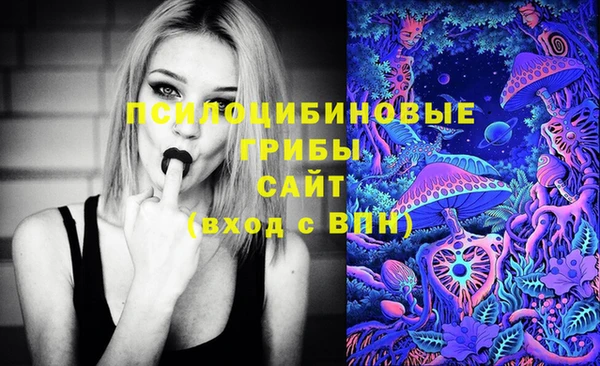 дмт Алексеевка